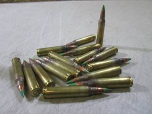 lot 190 image: (BSB) Lot of 16 5.56 Rounds...