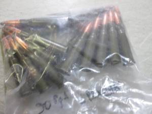 lot 200 image: (BSB) Lot of 20 7.62 x 54R Rounds...