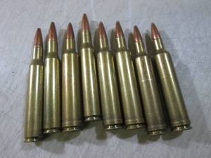lot 204 image: (BSB) Lot of 8 257 WBY Mag Rounds...