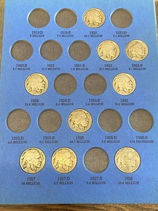 (22) Buffalo Nickels