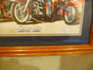 Harley Pictures