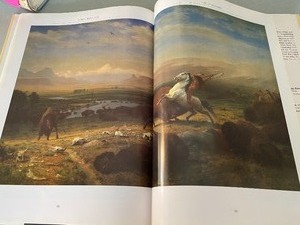 lot 125 image: Coffee Table Book Albert Bierstadt (1993)