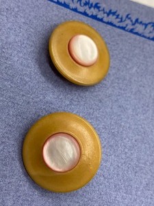 lot 251 image: Two Vintage Vegetable Ivory Buttons