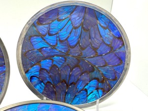 lot 361 image: Art Deco Blue Morpho Butterfly Wing Small Round PlattersTrays