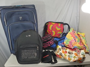 lot 167 image: Luggage, Purses, and More