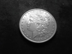 1889 Morgan Silver Dollar