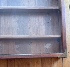 Vintage Display Case