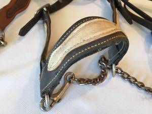 Equestrian Bridles