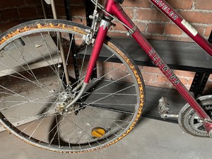 Schwinn Traveler Bike