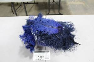 lot 1252 image: Lot of (Approximately 138) Ostrich Feathers Blue
