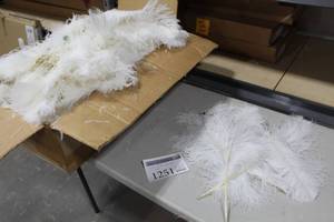 lot 1251 image: Lot of (500) Ostrich Feathers White