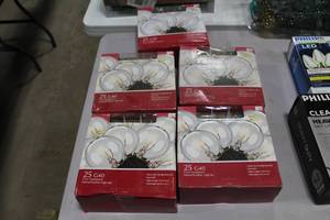 lot 1288 image: Lot of (5) LED G40 Globe String Light Clear 25-Bulb (in box)