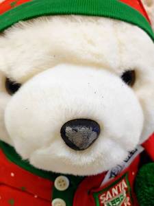 Santa Bear