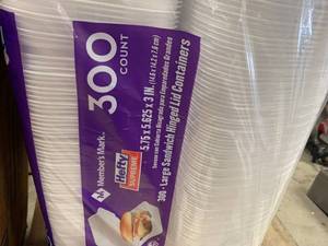 lot 20 image: 1000 Spoons, 300 Sandwich Containers, 800 Dome Lid 16oz