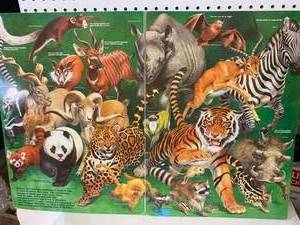 lot 65 image: Natures Show Off Kids Book 22 Tall