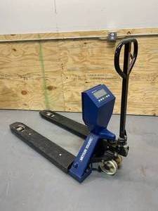 lot 55 image: METTLER TOLEDO BTA231-690U Pallet Scale