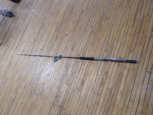 Penn Carnage II Rod