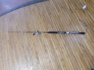Penn Carnage II Rod