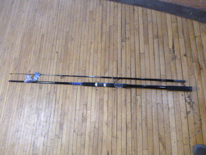 Shakespeare Tidewater Rod