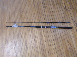 Shakespeare Tidewater Rod