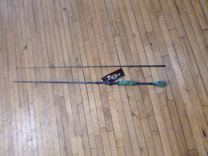 Berkley AMP Rod