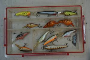 Fishing organizertackle