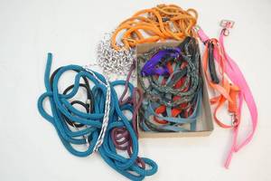 Ropes, collars, leashes