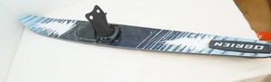Water ski