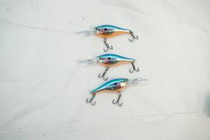 Rapala shad raps