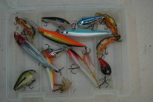 Fishing organizertackle