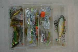 Fishing organizertackle