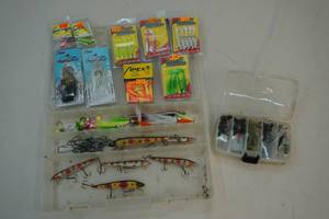 Fishing organizertackle