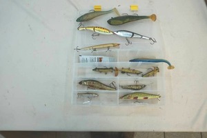 Tackle organizer, tackle