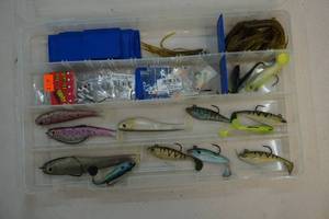 Tackle organizer, tackle