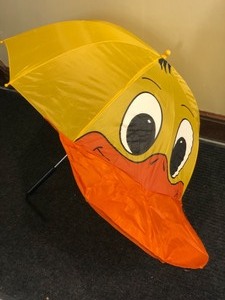 Ducky Umbrella and More
