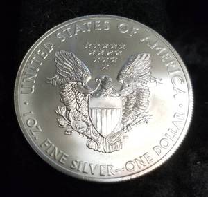 2013 AMERICAN SILVER EAGLE 1 TROY OZ. .999 FINE SILVER DOLLAR