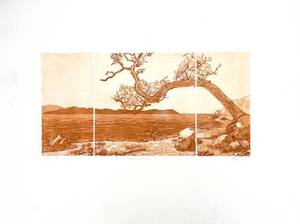 Vintage lithograph by Anne Tuttle