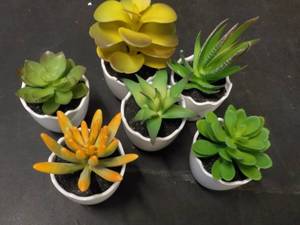 Potted Herb Dcor...