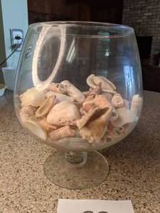 lot 63 image: Footed Bowl Filled with Sea Shells