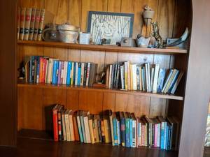 lot 152 image: Contents of Shelves Books and Decor