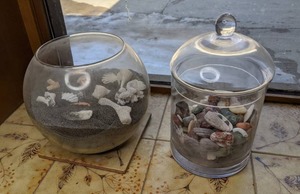 lot 29 image: Seashells, Black Sand and Rocks from Hawaii