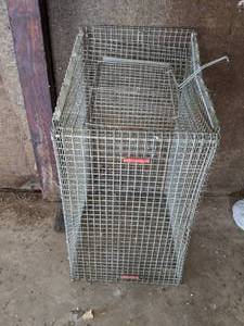 lot 17 image: Kennel-Aire #138 Metal Wire Live Trap
