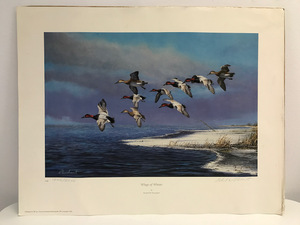 Wings of Winter by Richard W. Plasschaert - Signed Print - 10462000