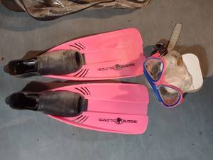 Snorkeling Gear