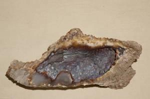 lot 191 image: Decorative Rock - Possibly Petrified Sea Anemone