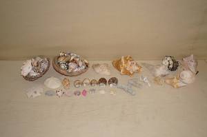 lot 192 image: Assortment of Shells