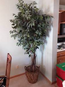 lot 3 image: Faux Tree 90