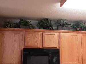 lot 37 image: Faux Greenery