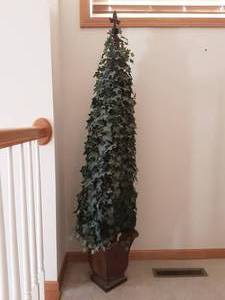 lot 58 image: Ivy Tree 62