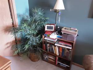lot 105 image: Faux Greenery, Bookshelf & Contents